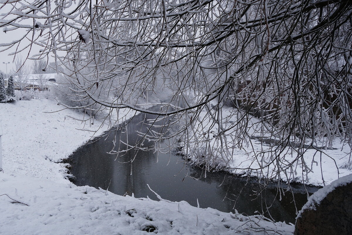 Январь - Рита Симонова