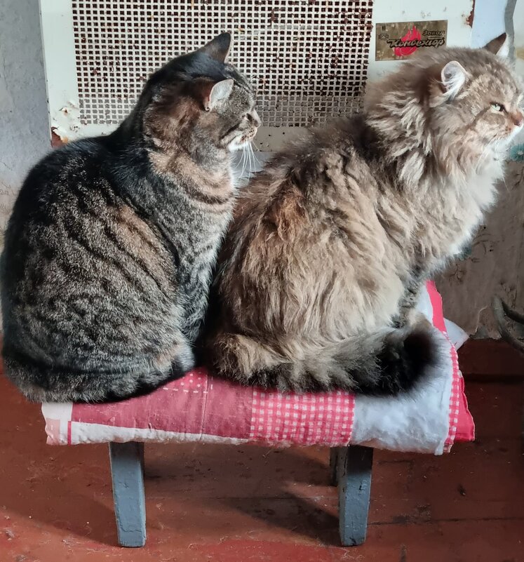 Поместились :) - Наталья Поместились :) - Наталья