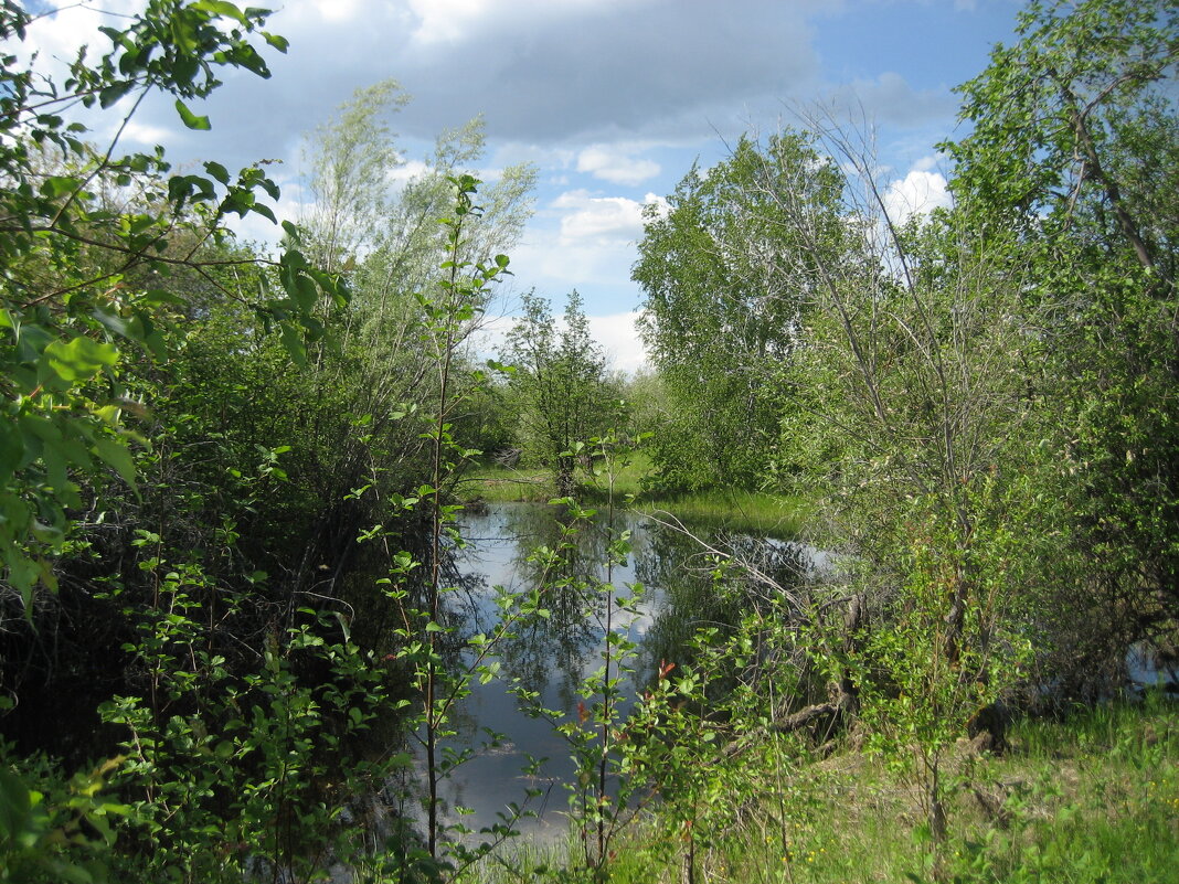 Лето - Anna Ivanova