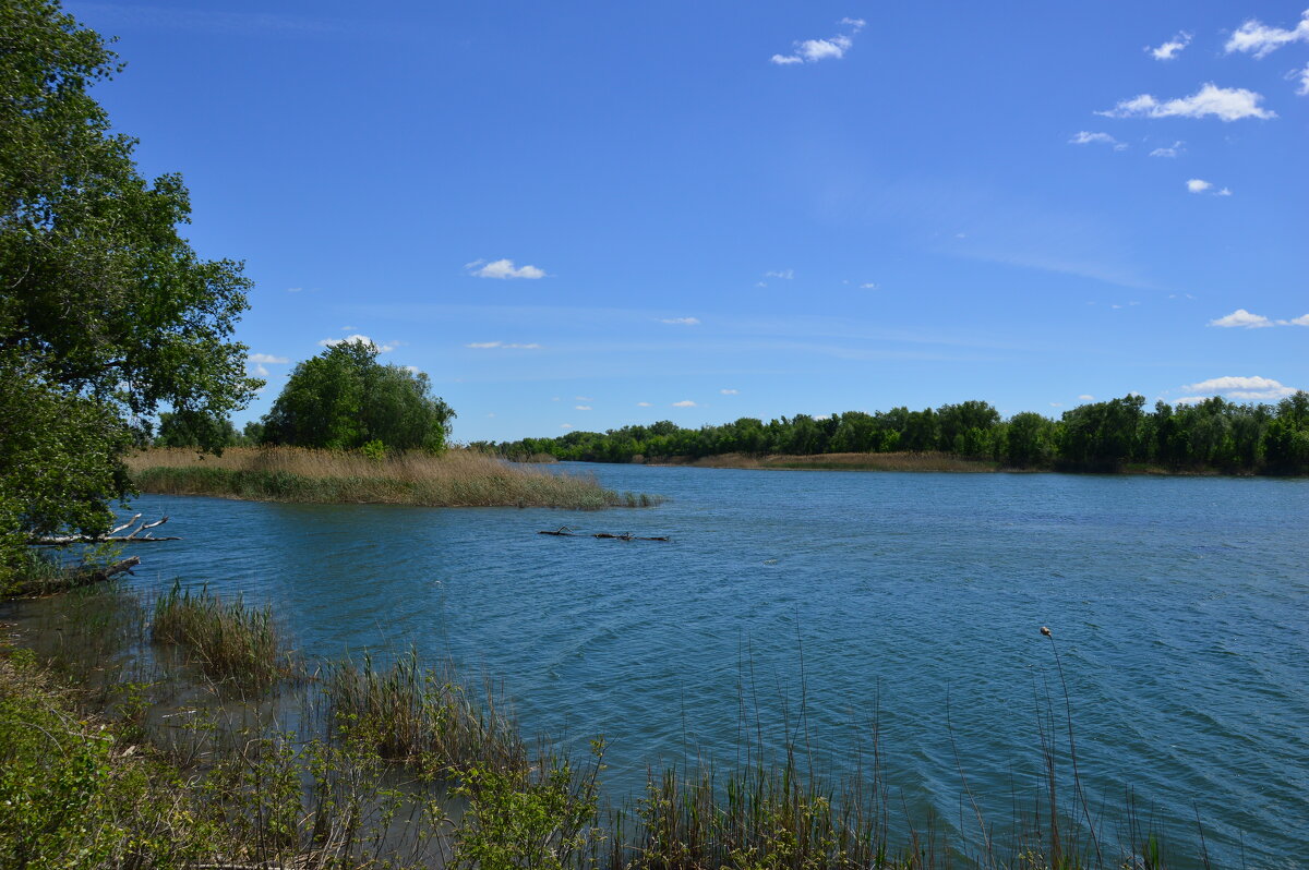 У реки.. - Виктор 