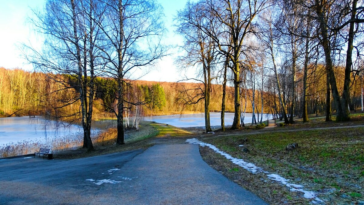 Всё, что осталось от снега, выпавшего в начале января. - Милешкин Владимир Алексеевич Всё, что осталось от снега, выпавшего в начале января. - Милешкин Владимир Алексеевич