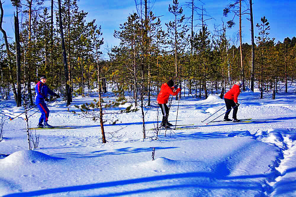 Февраль...На лыжне-юные! - Владимир 