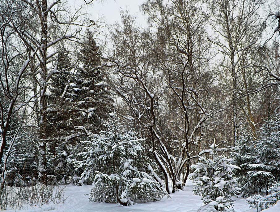 Пейзаж - SanSan 