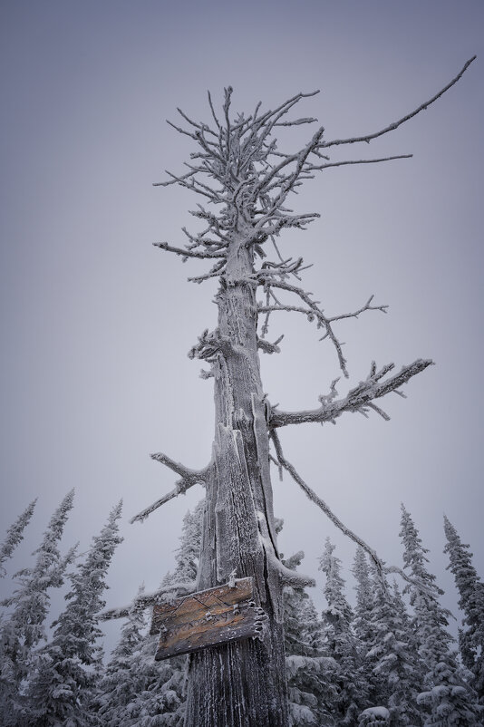 * - Александр Иванов