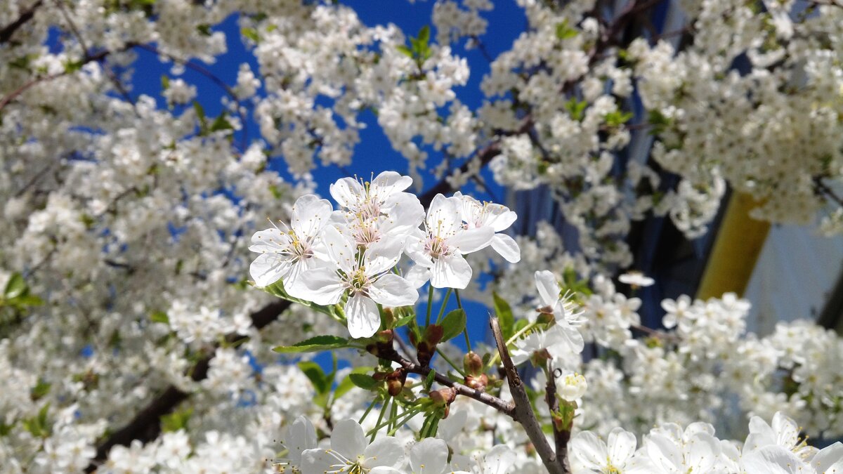 ,,, - Сергей Тимоновский ,,, - Сергей Тимоновский