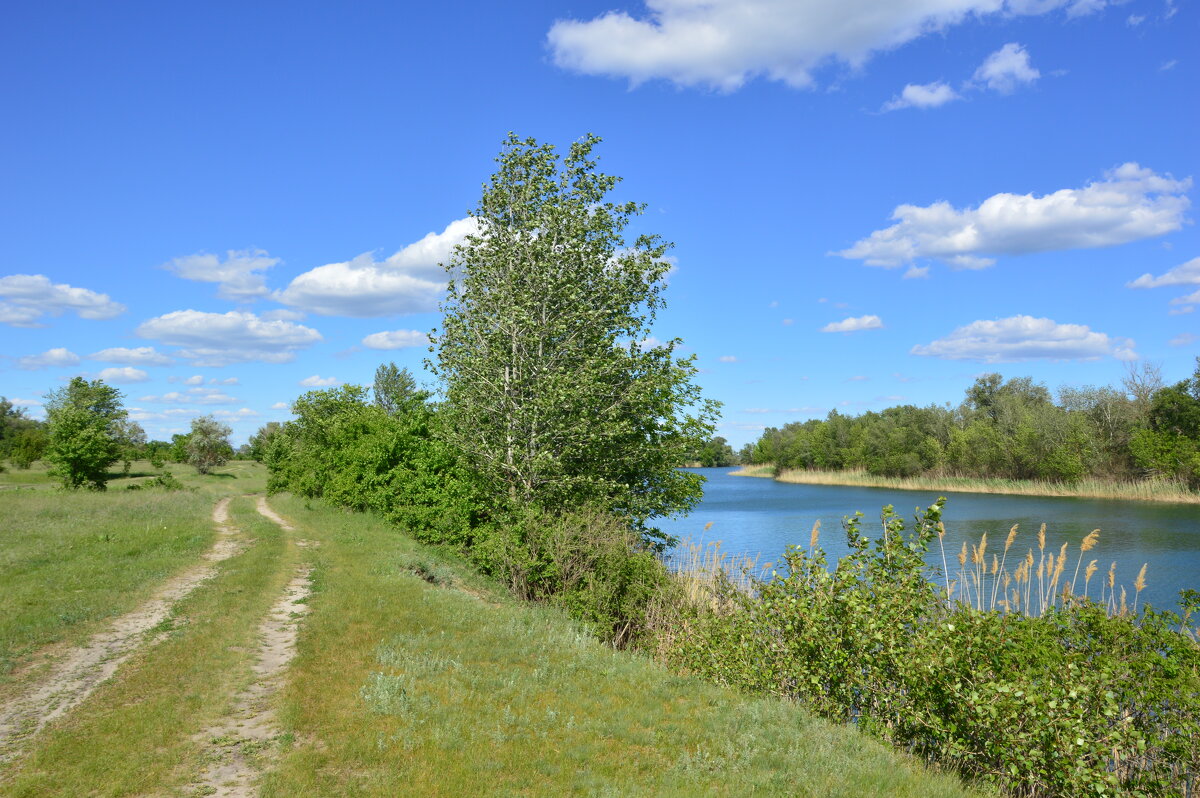 Мои дороги. - Виктор 