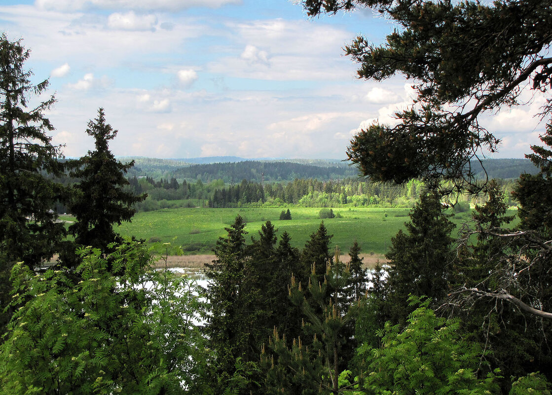 Вид с горы Кухавуори на озеро Аиранне - Александр Ильчевский 