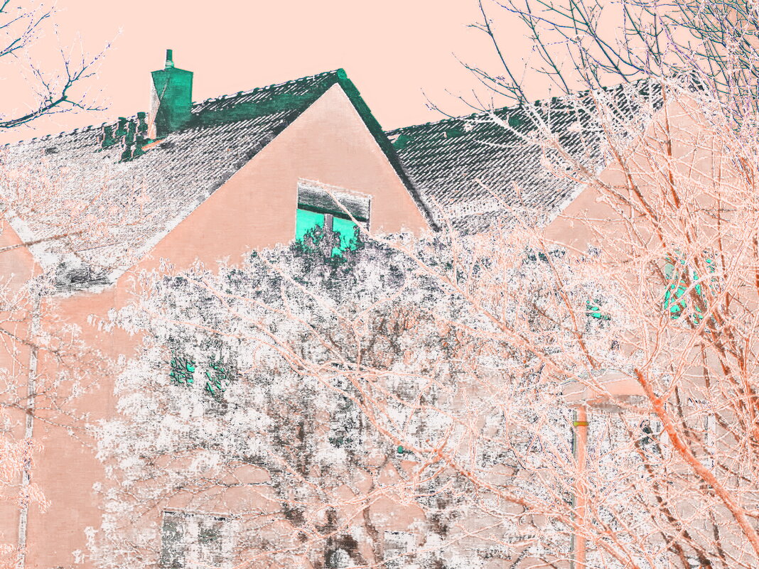 ВИД ИЗ ОКНА. ЯНВАРСКИЙ ИНЕЙ.-3 - Елена Куприянова 