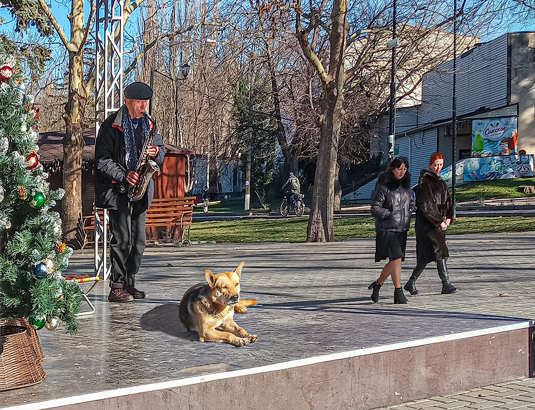 Мелодия Старого Нового года - Юрий Яловенко