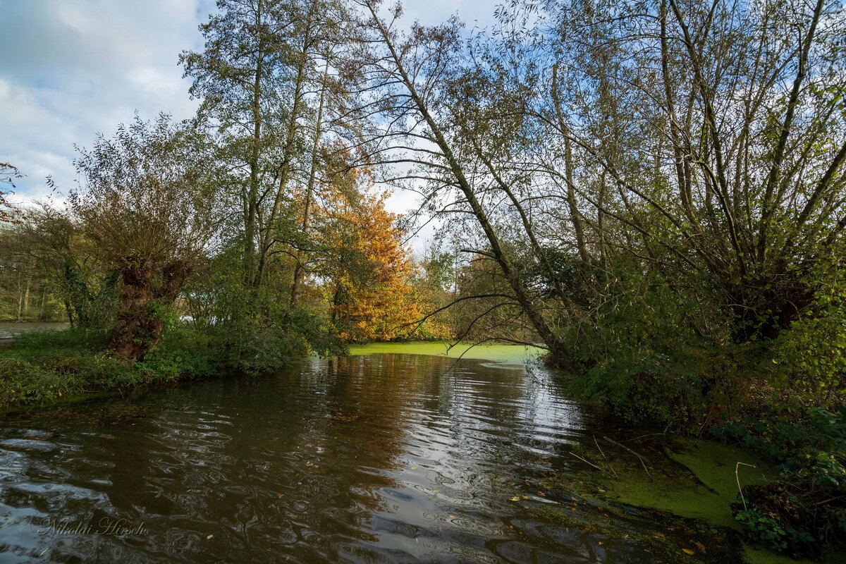 Протока... - Николай Гирш Протока... - Николай Гирш