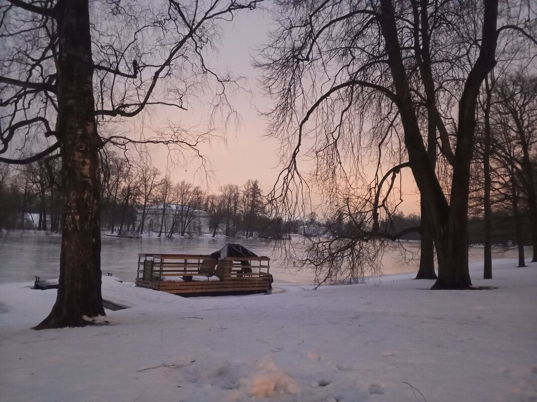 Вечер - Сапсан 