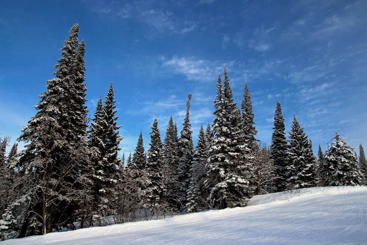Шерегеш - Евгения Каравашкина