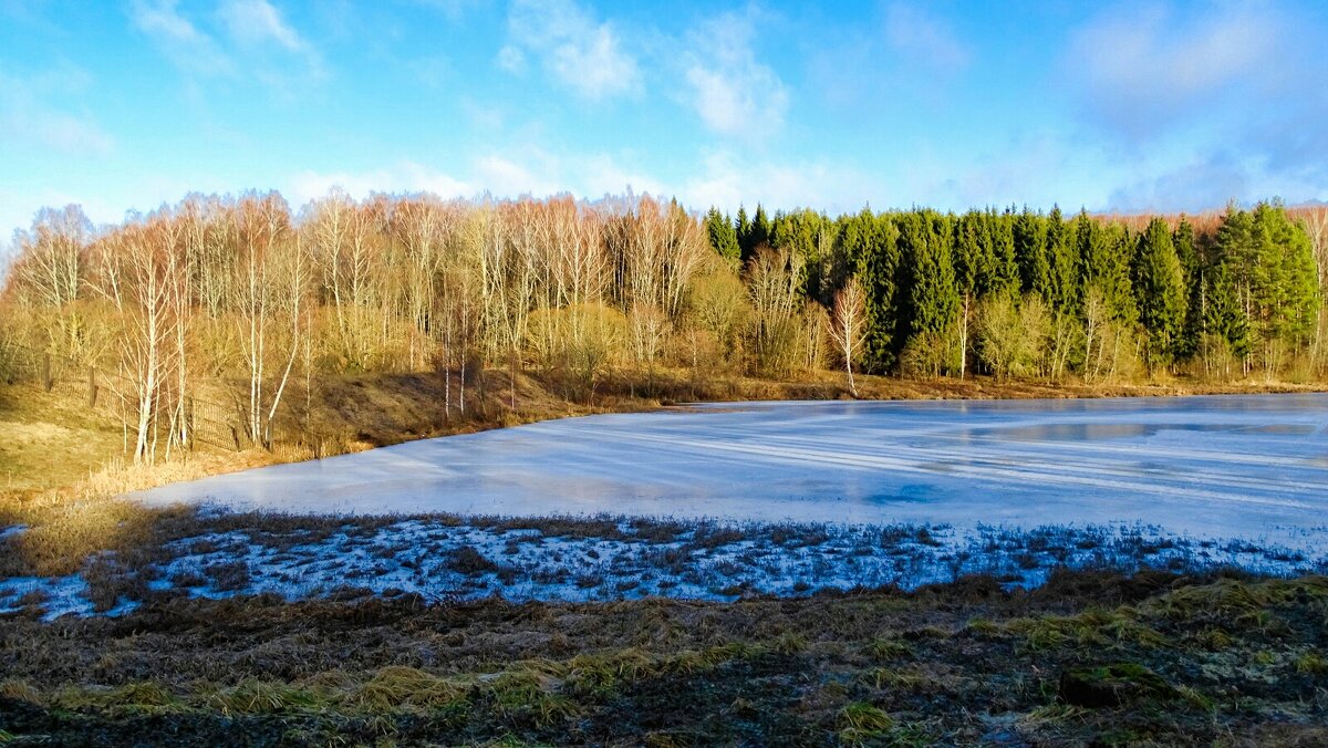Про зиму (репортаж из поездок по области). - Милешкин Владимир Алексеевич Про зиму (репортаж из поездок по области). - Милешкин Владимир Алексеевич