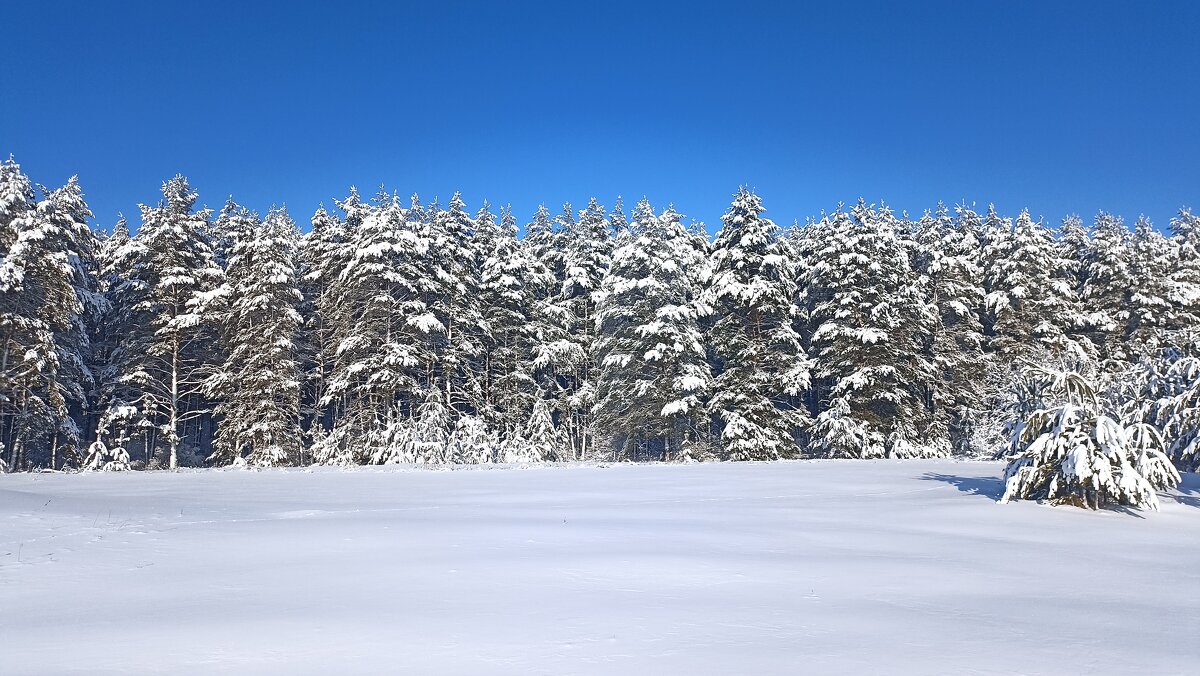 Снежно - Пасечник 