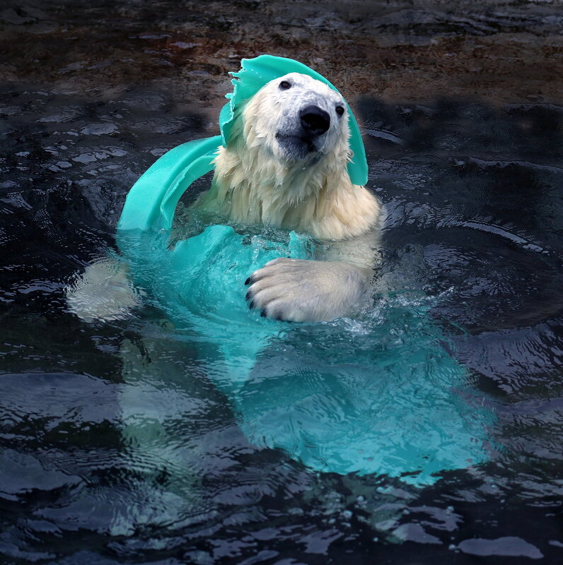 Айка - Михаил Бибичков