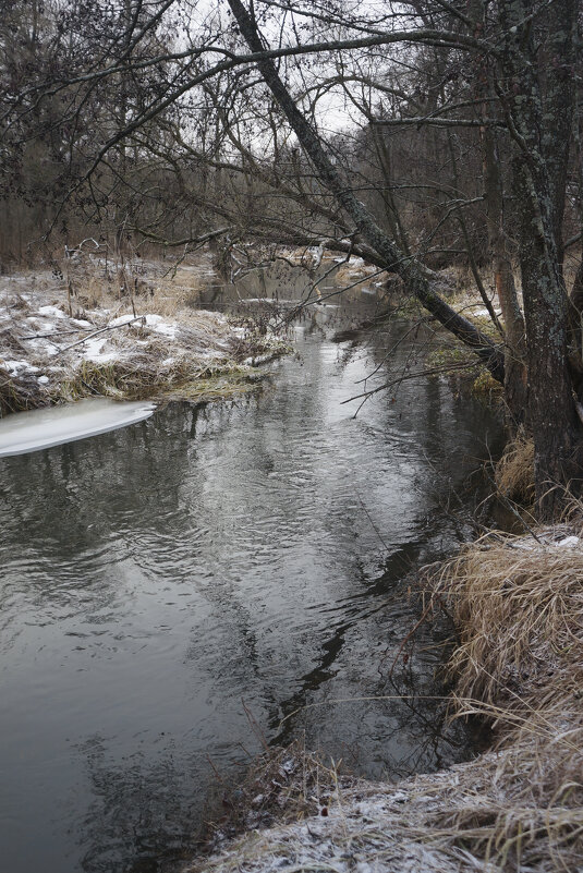 Не замёрзла - sorovey Sol Не замёрзла - sorovey Sol