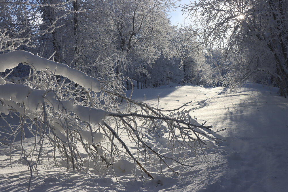 Зимними тропинками... - Галина Ильясова