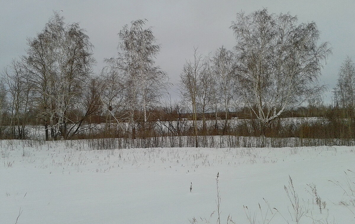 Смешаный колок. - сергей ермошкин