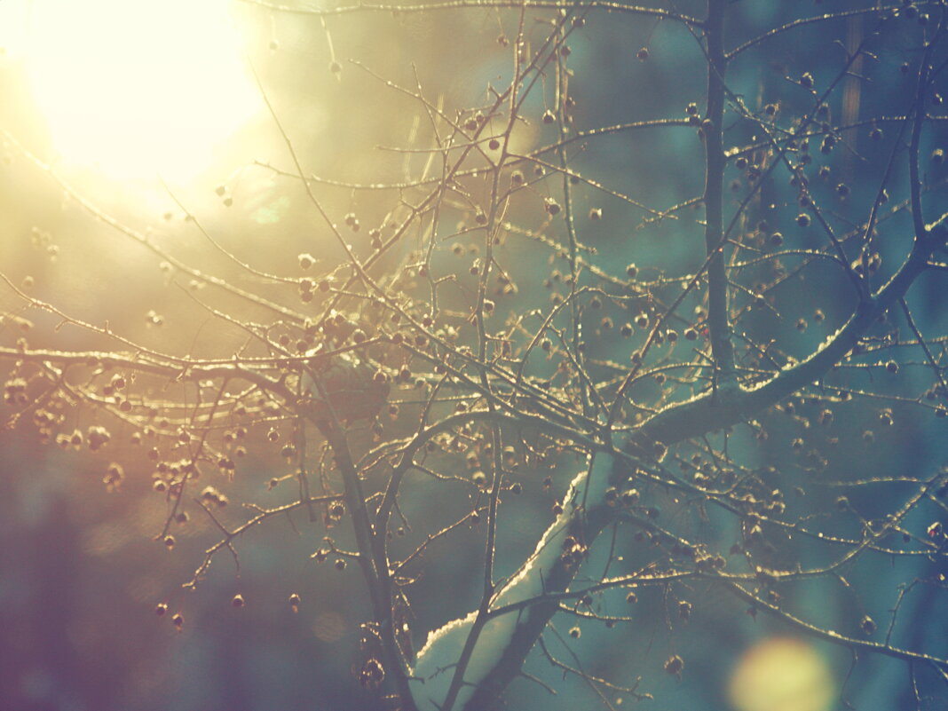 *** - Сергей Сергеев