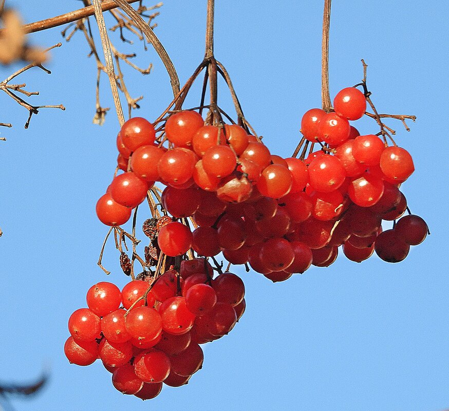 *** - Леонид leo *** - Леонид leo