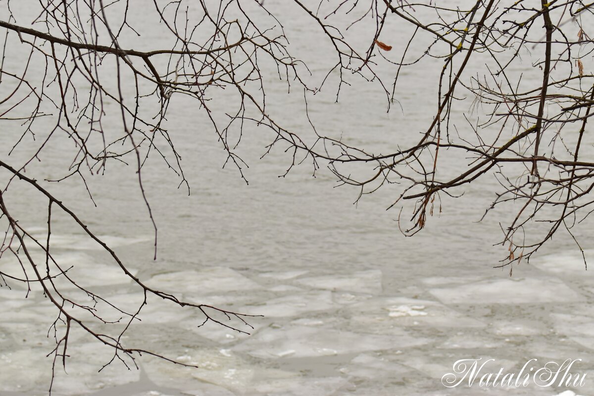 На воде. - Наталья Вязигина