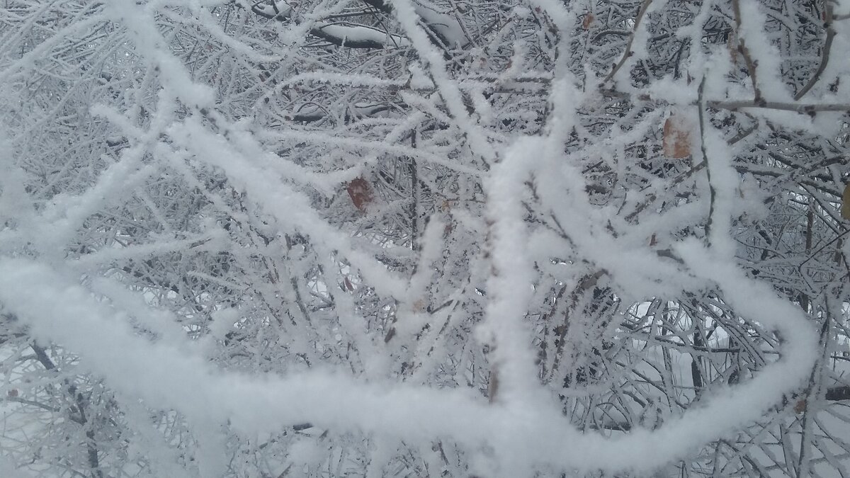 ***снежно*** - Olga Oskolkova ***снежно*** - Olga Oskolkova