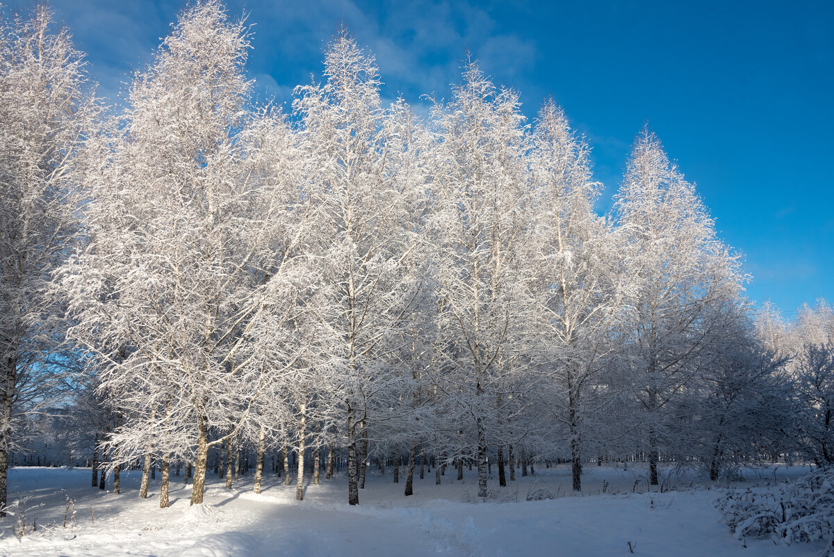 *** - Владимир Безбородов