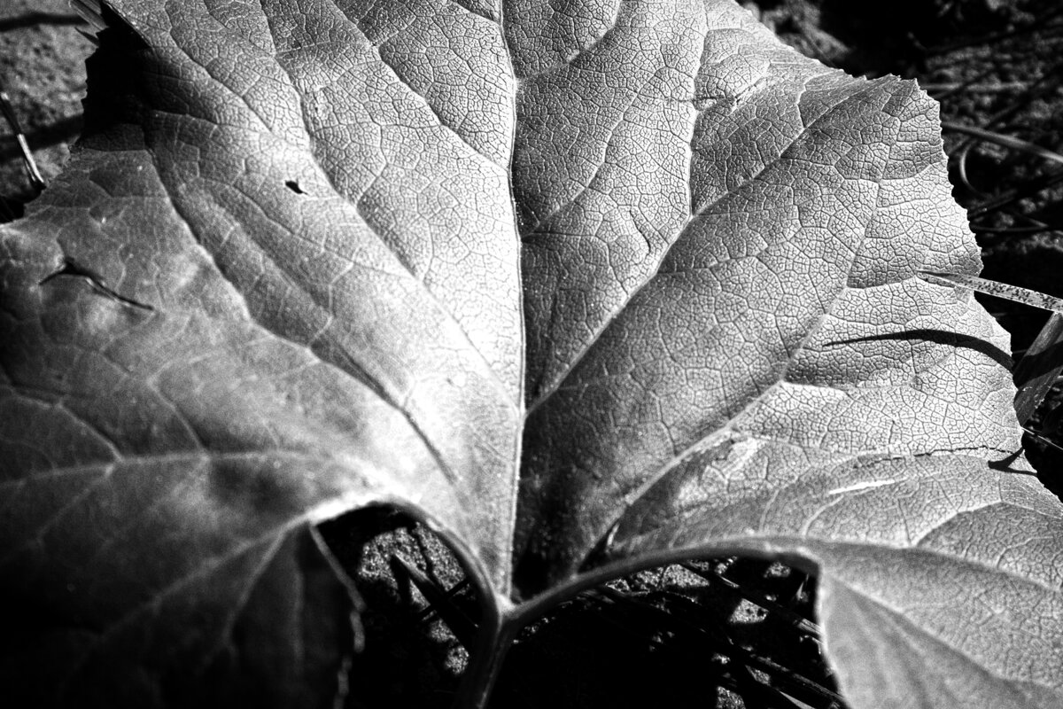 Название отсутствует - Денис Безногов Название отсутствует - Денис Безногов