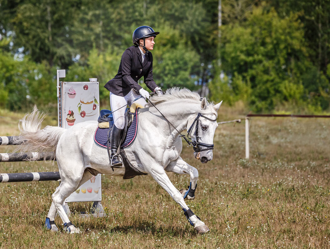 Конкур - SanSan 