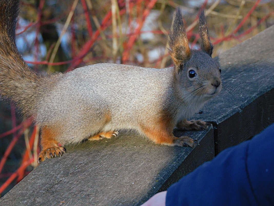 Знакомство - Лина Знакомство - Лина