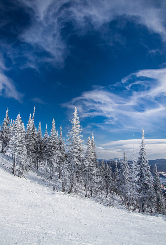 *** - Евгения Каравашкина