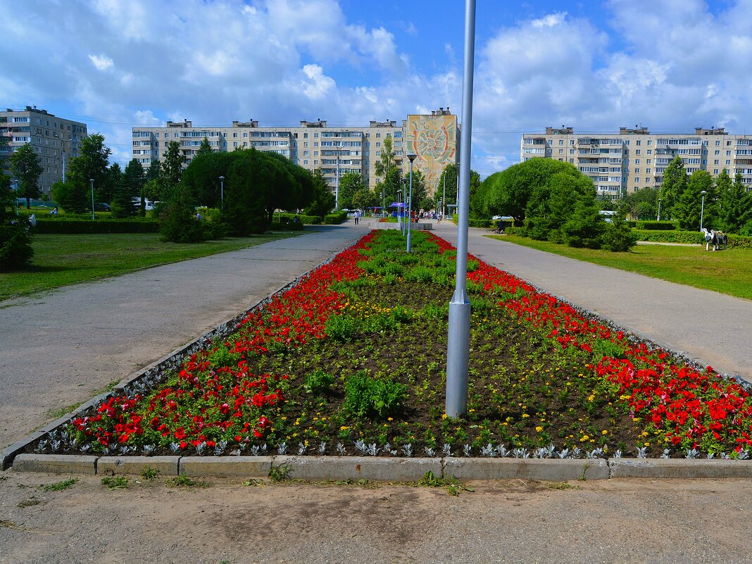 Чебоксары. Клумба Детского медицинского центра. - Пётр Чернега