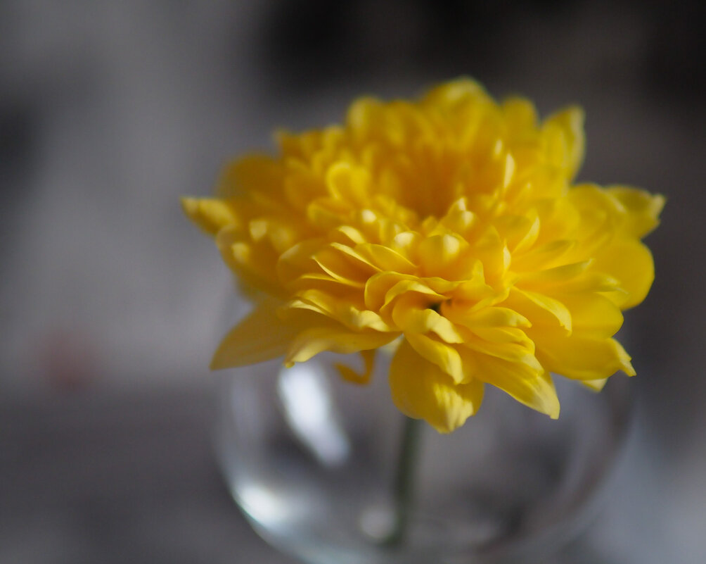 Немного лирики - Магомед .