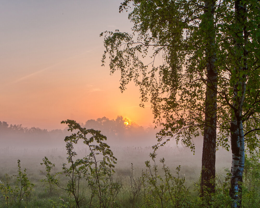 Туманный восход - Юрий Спасенников