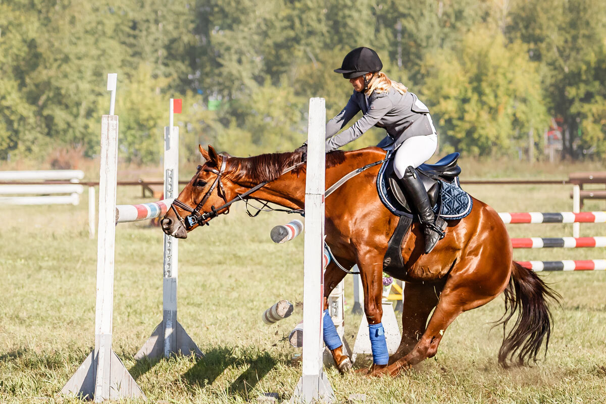 Конкур закидка - SanSan 