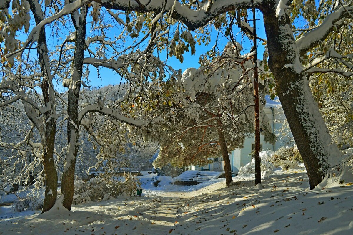 Солнечным утром...... - Юрий Цыплятников Солнечным утром...... - Юрий Цыплятников
