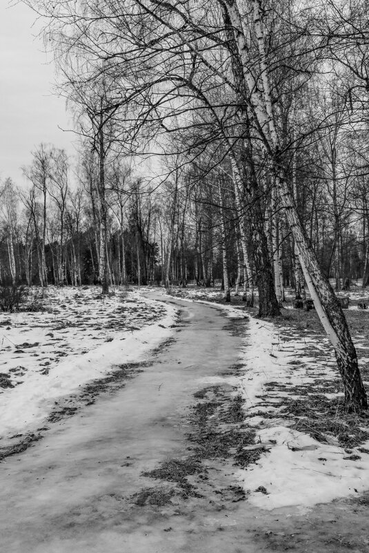 Такая зима, такая фотография, Ч/Б - Георгий А