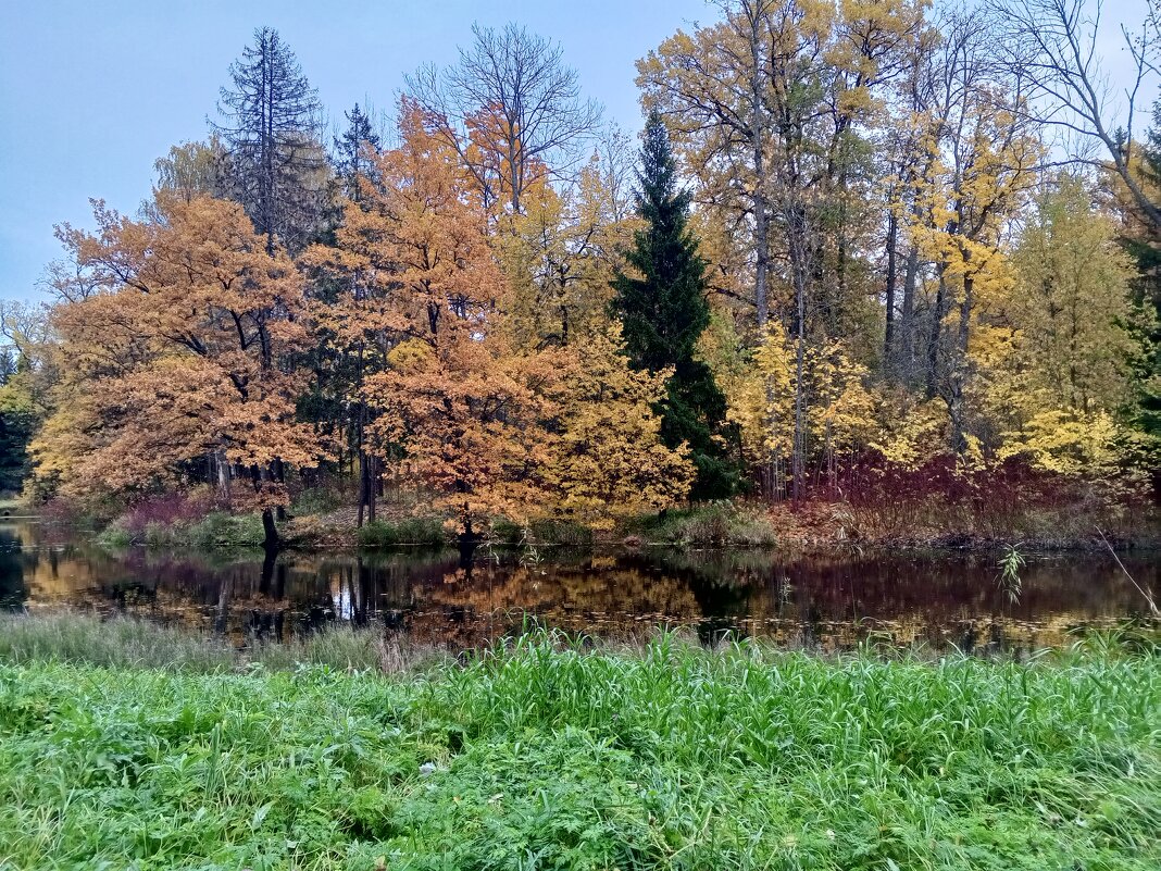 Осень - Сапсан 