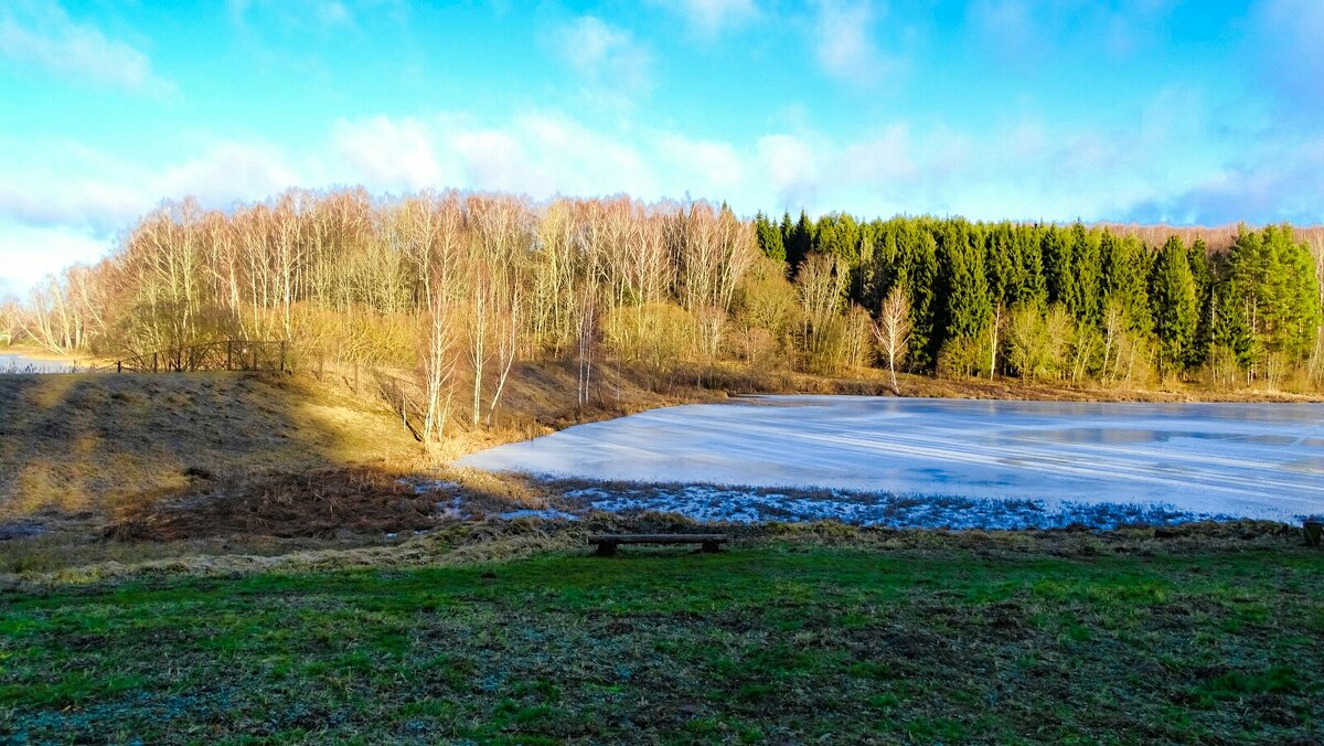 Природная аномалия (в середине января+5°, нет снега). - Милешкин Владимир Алексеевич 