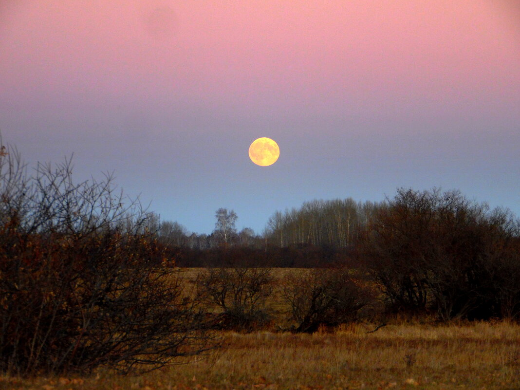 Лунный вечер. - nadyasilyuk Вознюк Лунный вечер. - nadyasilyuk Вознюк