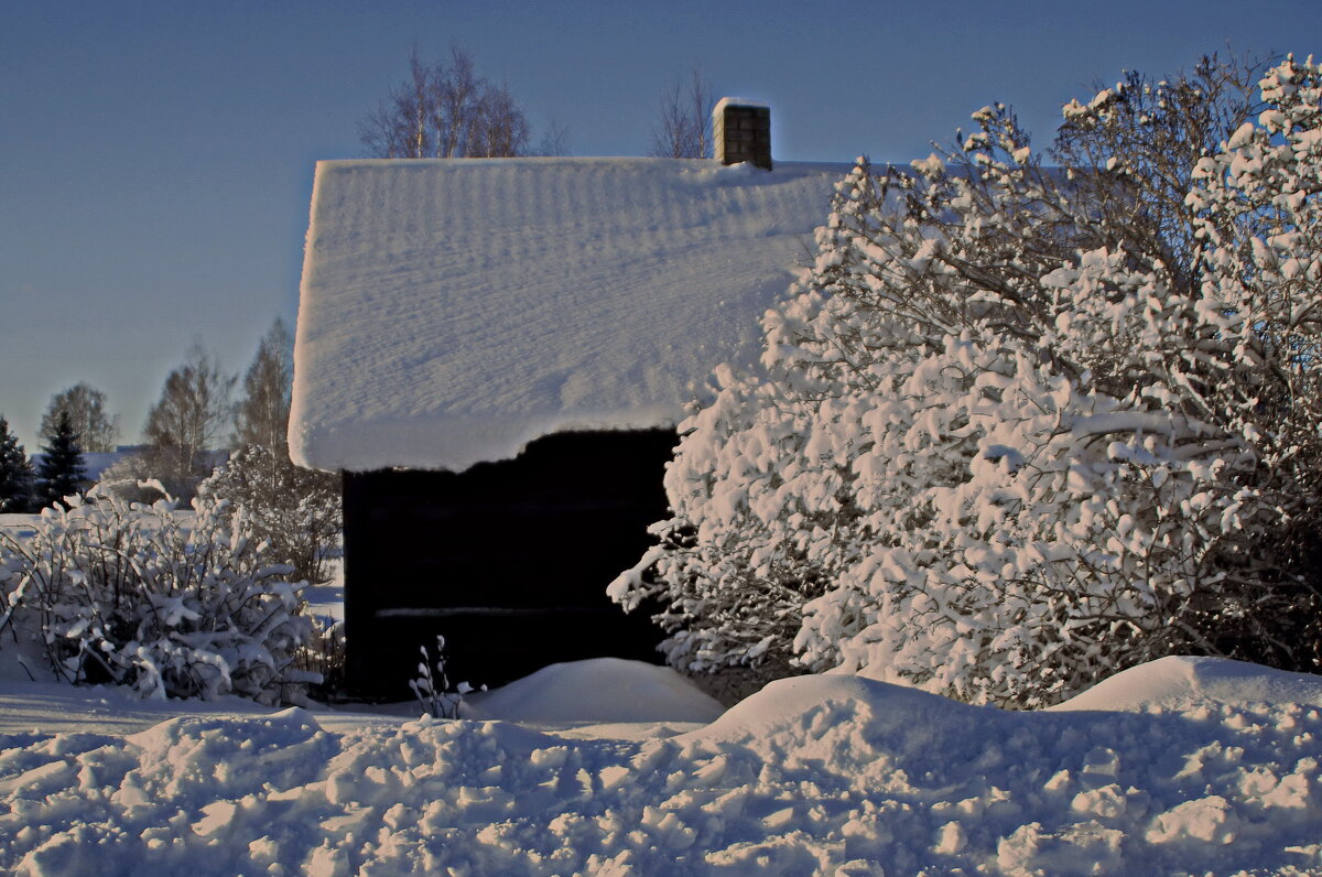 Красивый зимний день... - Татьян@ Ивановна