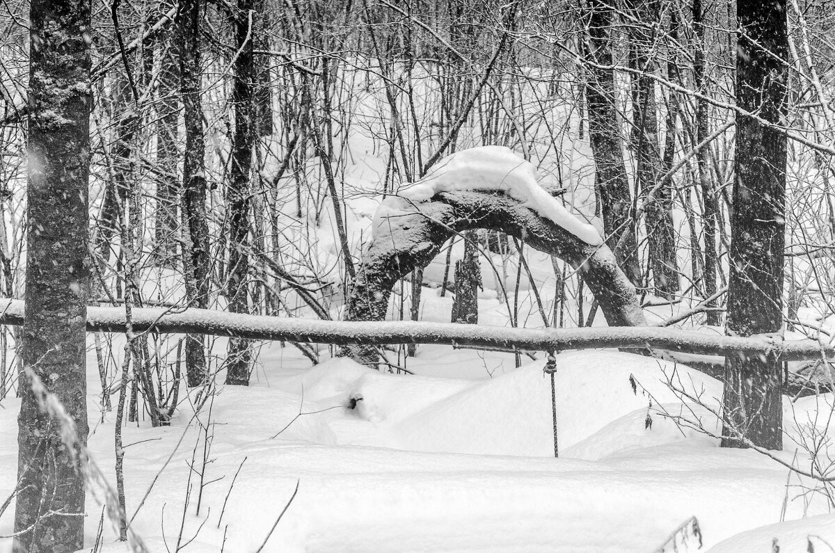 Дебри - Андрей Щетинин Дебри - Андрей Щетинин