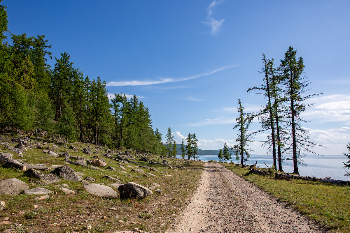 Эх, дороги... - Алексей Белик
