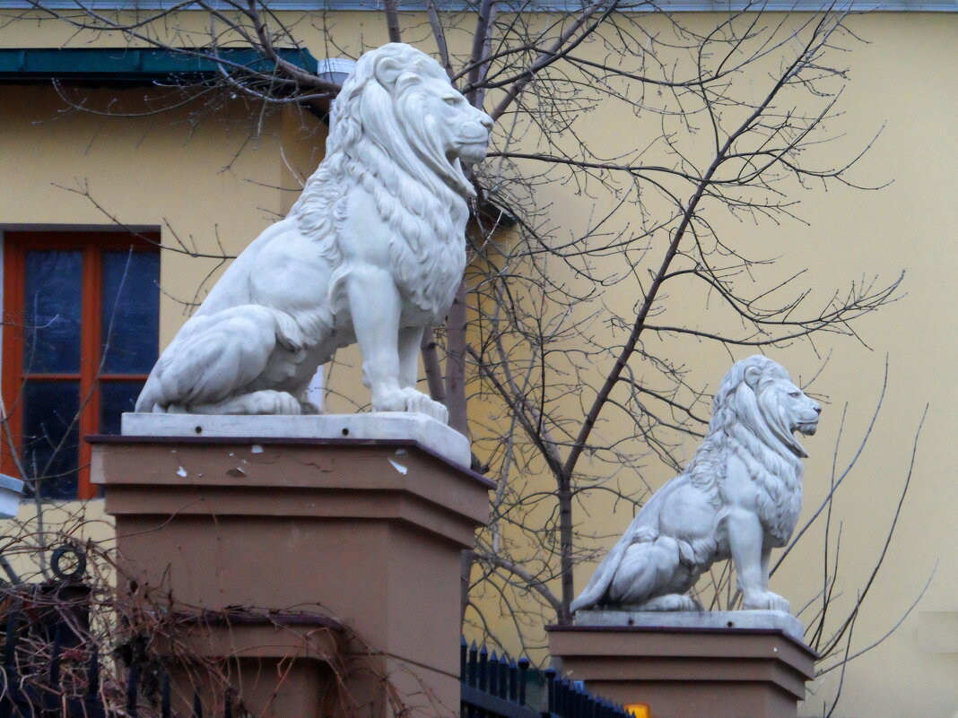 Зима в городе 2025 - Галина Зима в городе 2025 - Галина