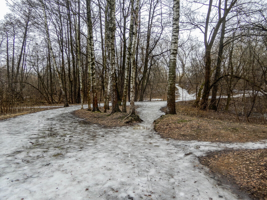 январские проталины - Сергей Лындин