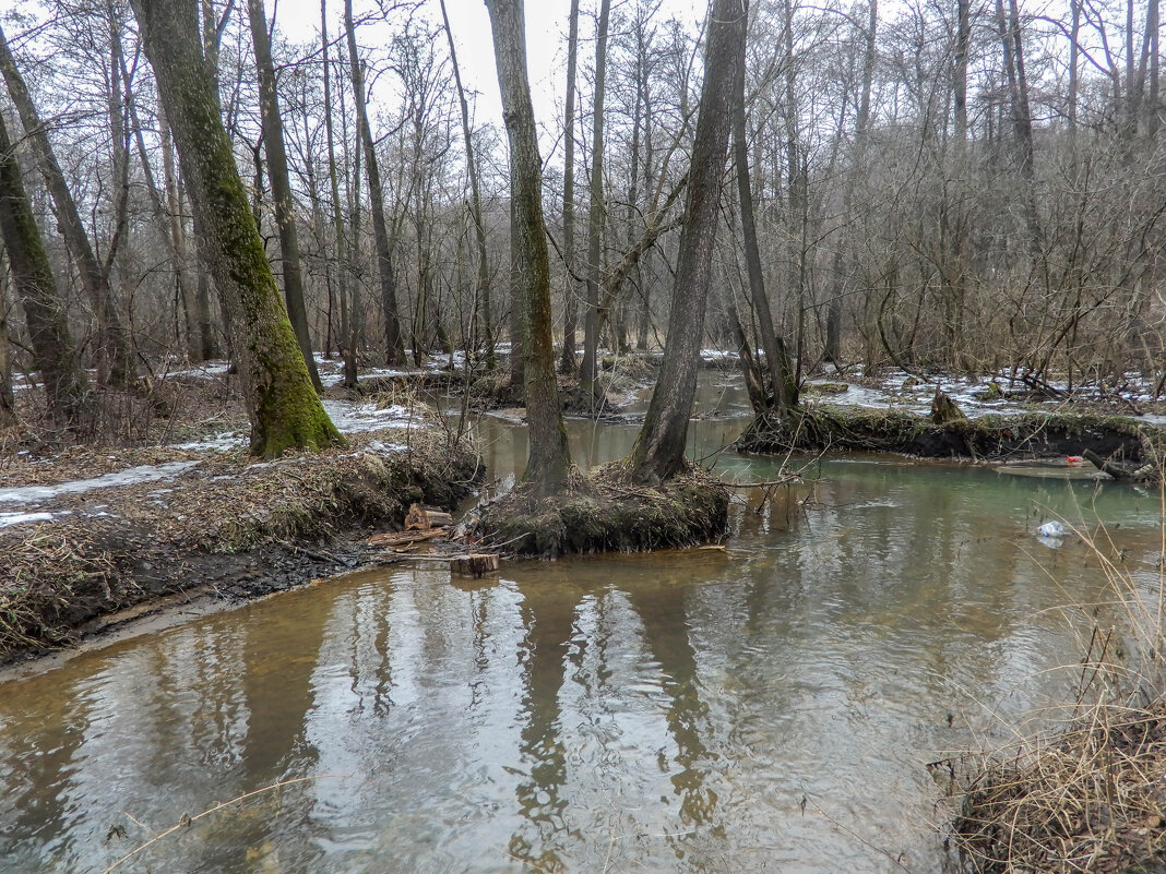 речка Чурилиха - Сергей Лындин