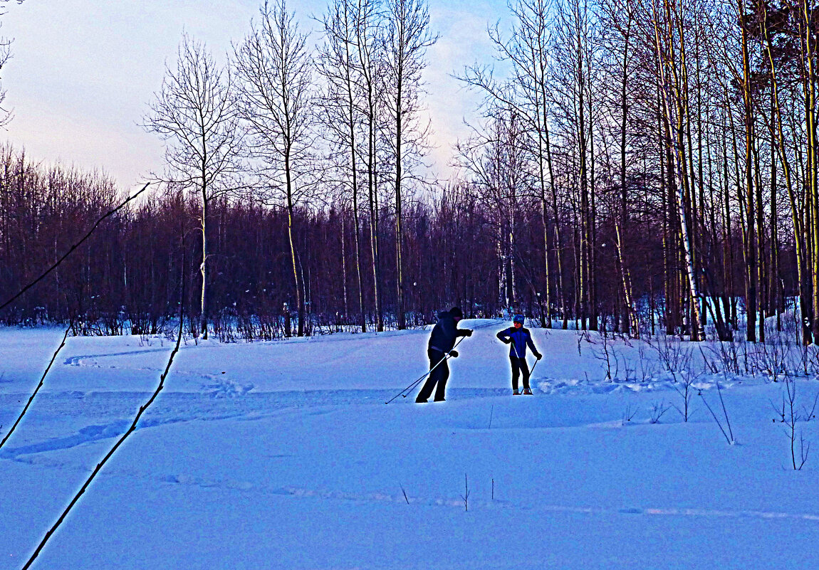 Январь...Двое на лыжне! - Владимир Январь...Двое на лыжне! - Владимир