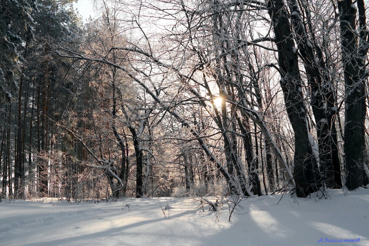 Ещё про зимние рассветы.. - Андрей Заломленков Ещё про зимние рассветы.. - Андрей Заломленков