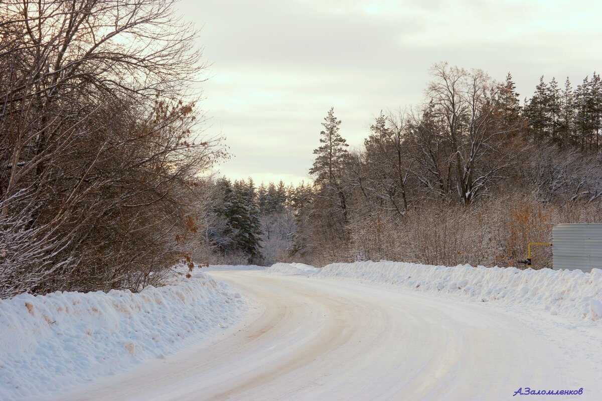 По дороге на лыжную базу - Андрей Заломленков