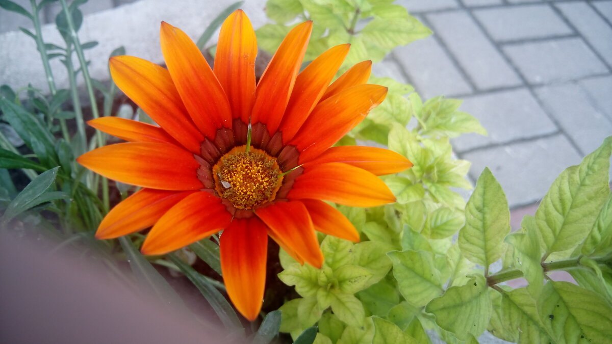 ,,, - Сергей Тимоновский ,,, - Сергей Тимоновский